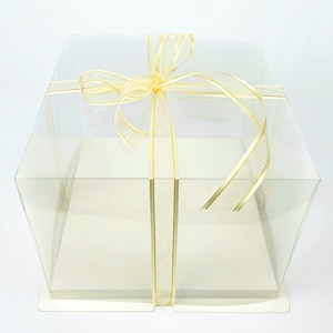 White Square Clear Plastic Cake Box