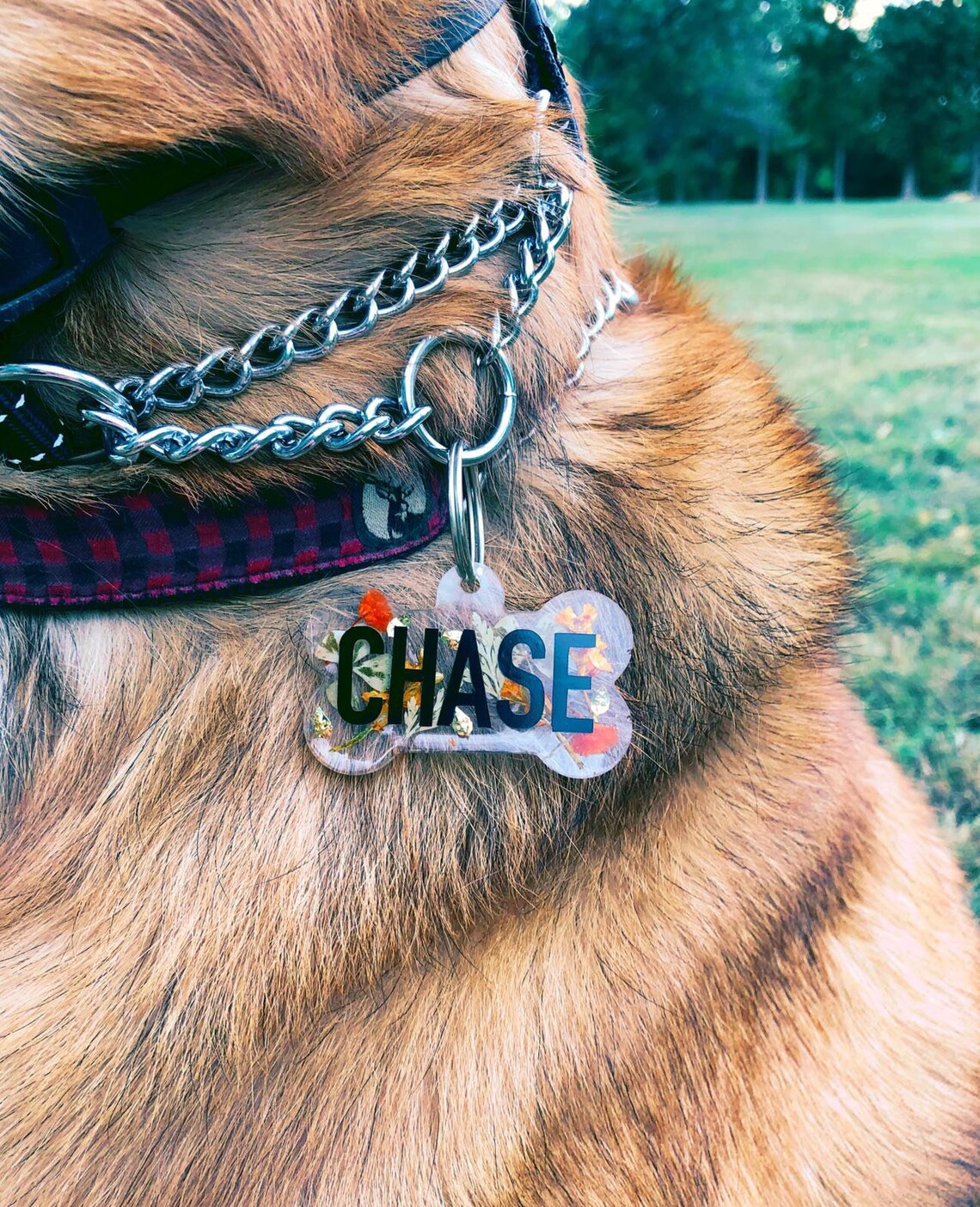 Personalisierbare Harz Knochen Hunde Namensanhänger Welpe Etsy