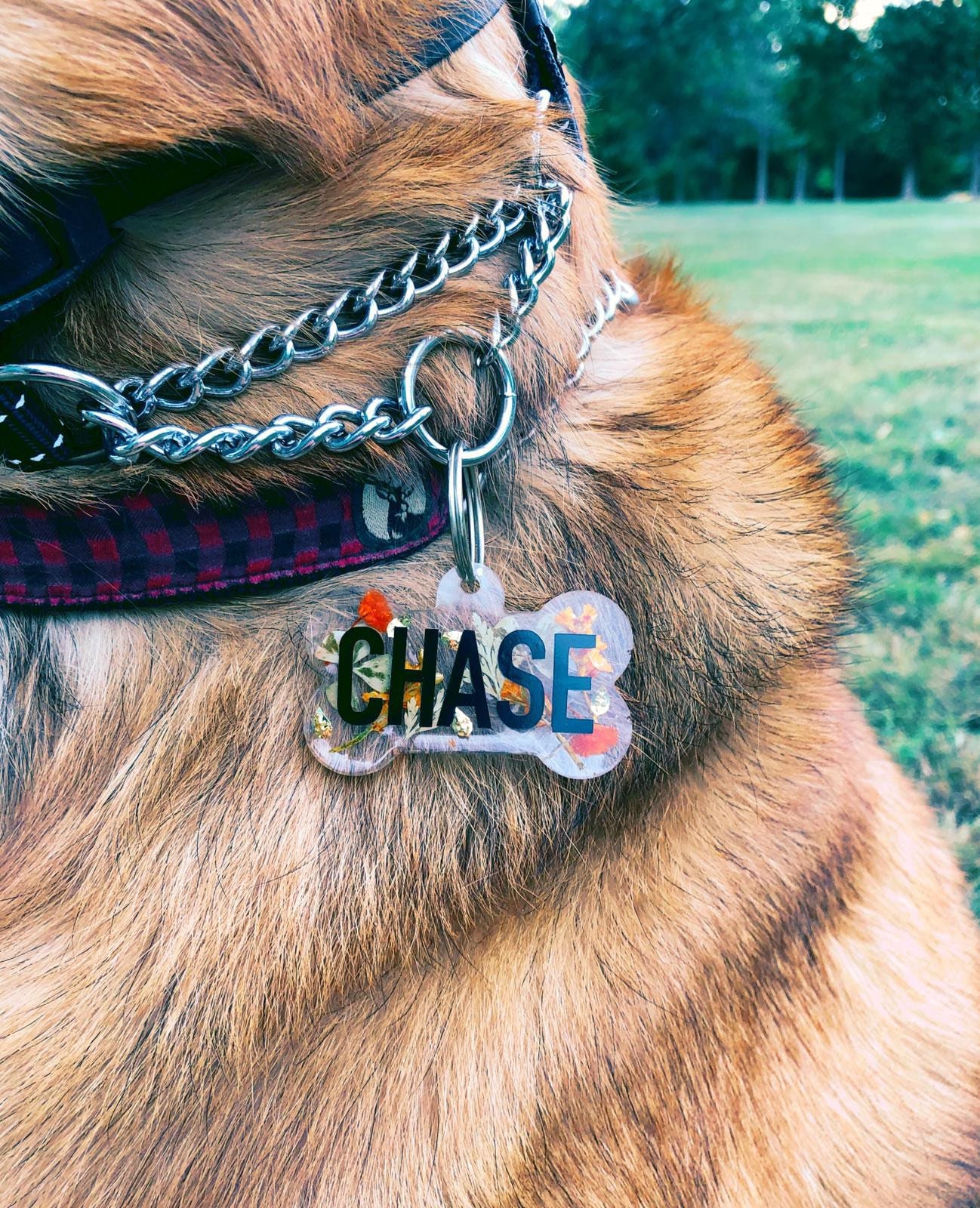 Personalisierbare Harz Knochen Hunde Namensanhänger Welpe Etsy