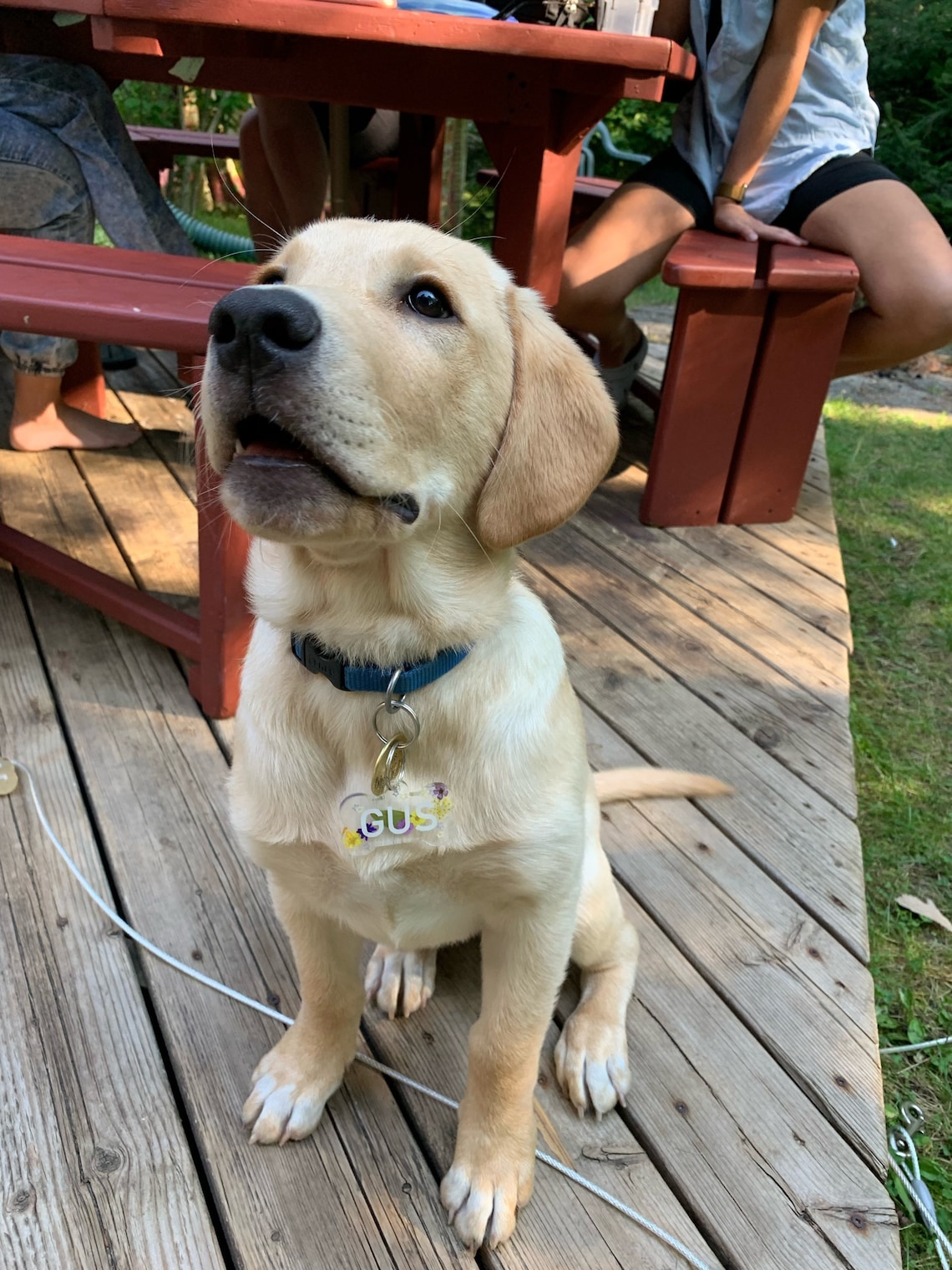 Personalisierbare Harz Knochen Hunde Namensanhänger Welpe Etsy