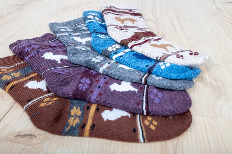 Pu&ograve; includere: Un set di cinque calzini colorati con un design a fantasia. I calzini sono realizzati in un morbido tessuto a maglia e presentano una variet&agrave; di colori, tra cui marrone, viola, grigio, blu e bianco.