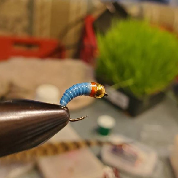 Maggot Euro Nymph Tungsten