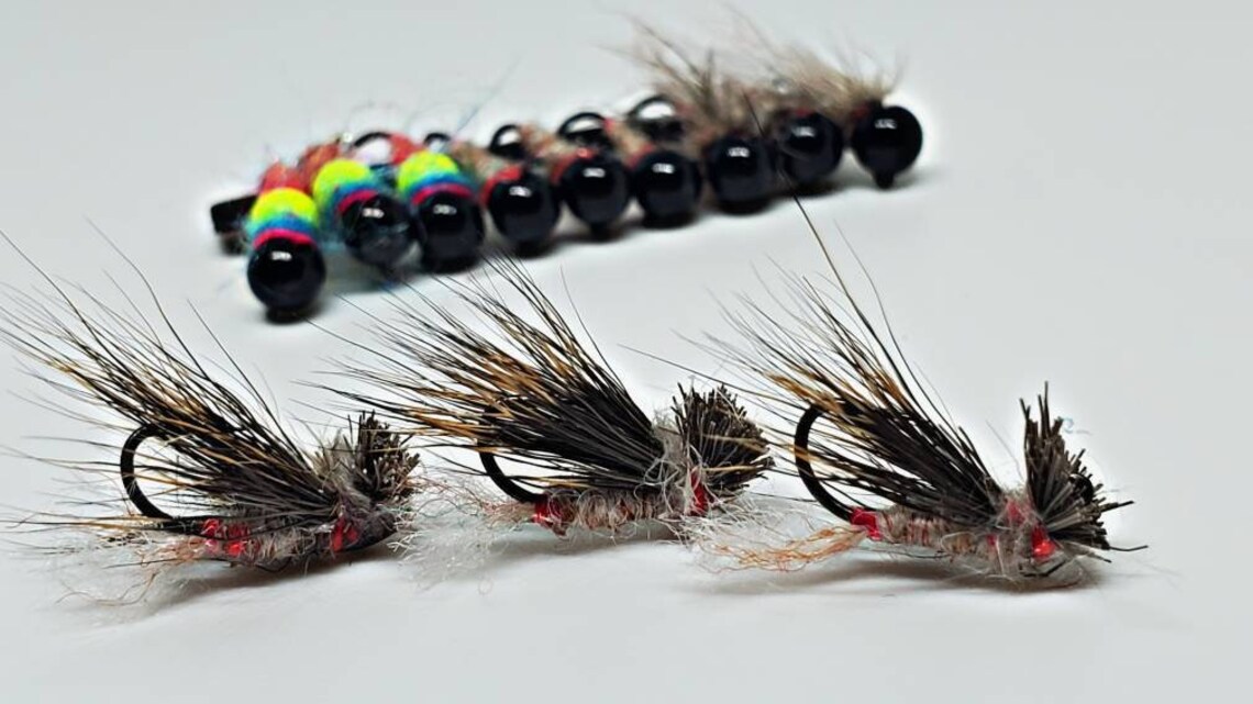 Euro Nymph Caddis Life Cycle 12 Flies Etsy