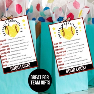 Softball Survival Kit Bag Tag Printable Softball Team Gift Tag Softball Gifts for Team Softball Tag Printable Tag Instant Download