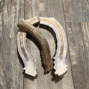 XL Split Deer Antlers Chews, all natural antlers from Montana!