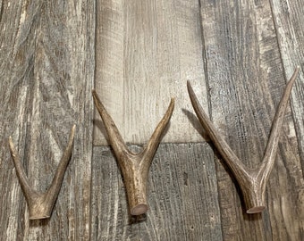 Forked Deer Antler tines, Premium Craft Deer Antlers with the “Y” fork. ~free Shipping!