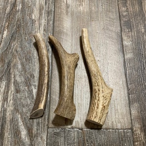 3 pack Deer Antler Dog Chews, Premium Small/Medium Sized Antlers from Montana!