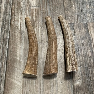 3 pack small elk antler dog chews, premium antlers from Montana! ~ free shipping!