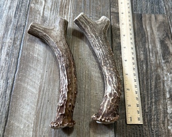 May include: Two brown antler dog chews, approximately 7 inches long, on a wood floor with a ruler for scale.