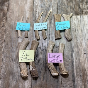 Montana Premium Antler Dog Chews! Naturally Shed Antlers! Choose from various sizes! 1(ea)~Free Shipping!