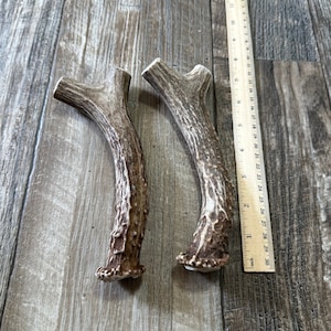 2 Pack Large Deer Antler Dog Chews, Premium Antlers From Montana! ~ Free Shipping!