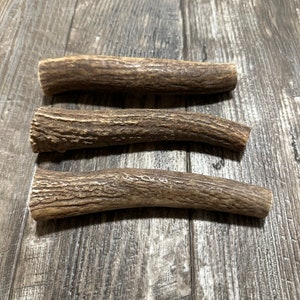 Elk antlers for sale for dogs shop