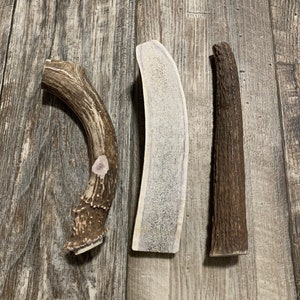 XL Deer/Elk Antler Dog Chew Combo! Premium Deer/Elk Antlers From Montana!