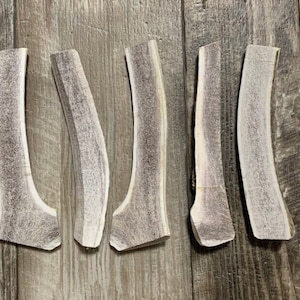 May include: Five natural antler chews for dogs. The antlers are light brown and have a natural, rough texture. They are all different sizes and shapes.