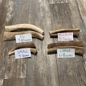 Elk Antler Dog Chews. Premium Elk Antlers From Montana! Pick Your size (1pc) ~ Free Shipping!