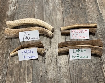 May include: Four different sizes of antler dog chews are displayed on a wooden surface. The sizes are labeled "Small 4-6 inches", "Medium 5-7 inches", "Large 6-8 inches", and "XL 7-10 inches".