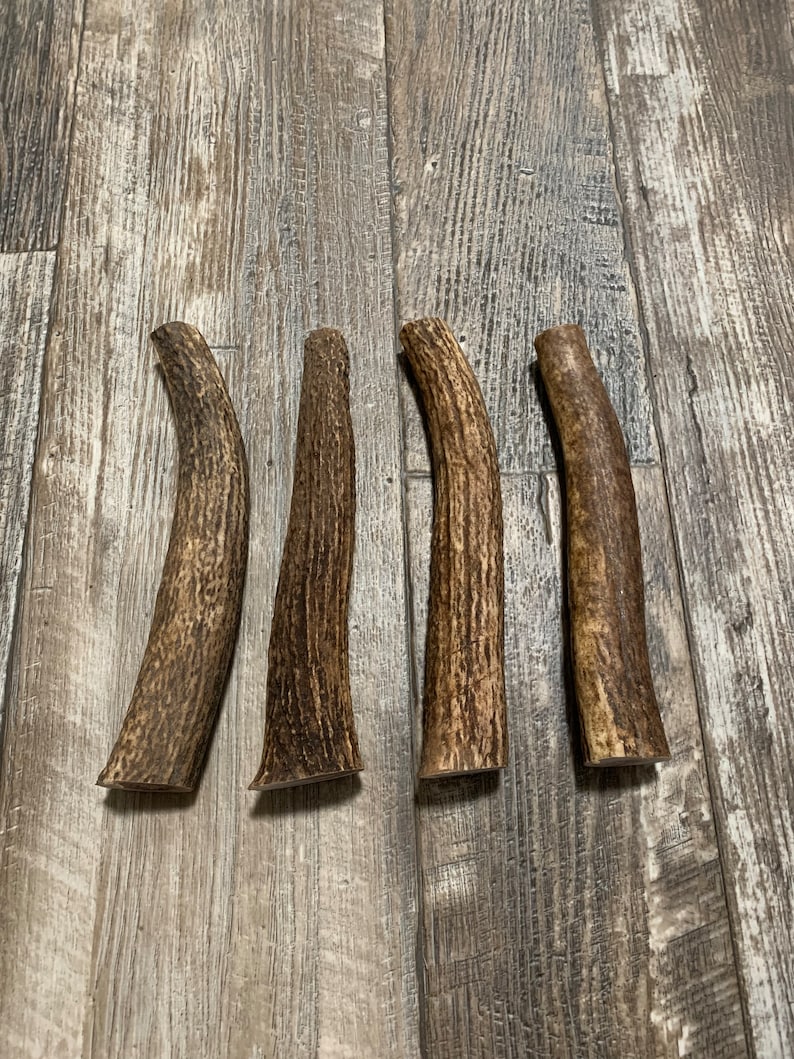 Premium Elk Antlers for Knife Handles/ Dog Chews 1 pc Etsy