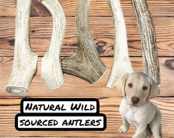 May include: Five natural antler dog chews of varying sizes and colors, with a light brown puppy sitting in front of them. The antler chews are arranged in a row on a wooden surface. The text "NATURAL WILD SOURCED ANTLERS" is printed on a black rectangle below the antler chews.