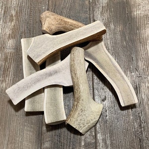 May include: A collection of five natural antler dog chews of varying sizes and shapes. The antler chews are light brown and beige in color and have a rough, textured surface.