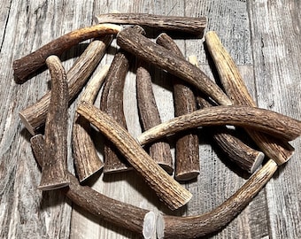 Whole Elk Antler Premium Dog Chews, Various sizes for all dogs!
