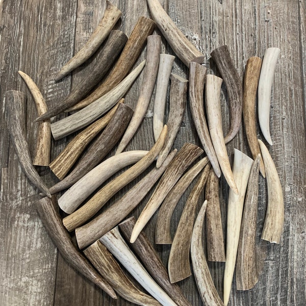 Deer/Elk Antler tips