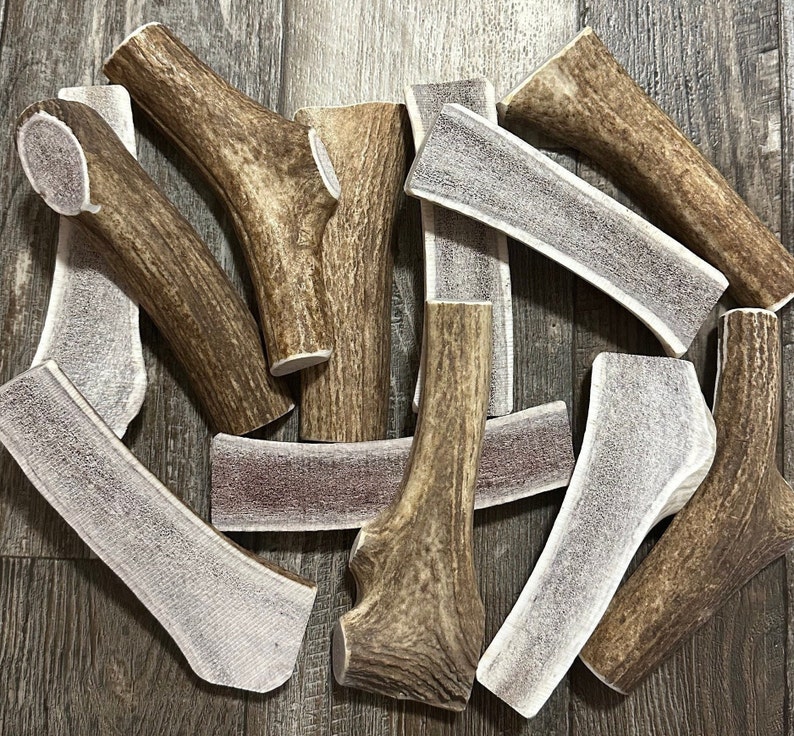 May include: A collection of various sizes and shapes of natural antler dog chews. The chews are a light brown color with a white, textured surface.