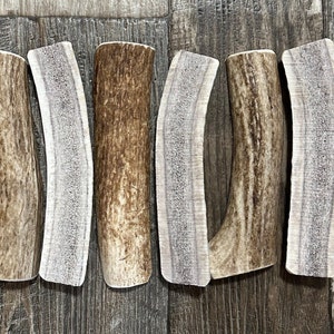 6 Pack Split Elk Antler Dog Chew, All Natural Premium Elk Antlers From Montana! ~ Free Shipping!