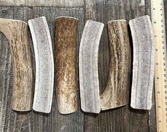 Paquete de 6 masticables para perros de asta de alce partida, ¡astas de alce premium totalmente naturales de Montana! ~ ¡Envío gratis!