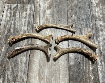 May include: Six natural antler dog chews of varying sizes and shapes, arranged on a woodgrain surface.
