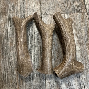 3 Pack Antler Dog Chews ~ Free shipping
