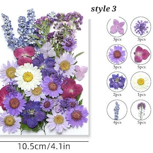 Pack mélangé de fleurs séchées pressées, art floral séché pressé, fleur de mariage, fabrication de cartes, scrapbooking