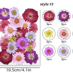 Pack mélangé de fleurs séchées pressées, art floral séché pressé, fleur de mariage, fabrication de cartes, scrapbooking