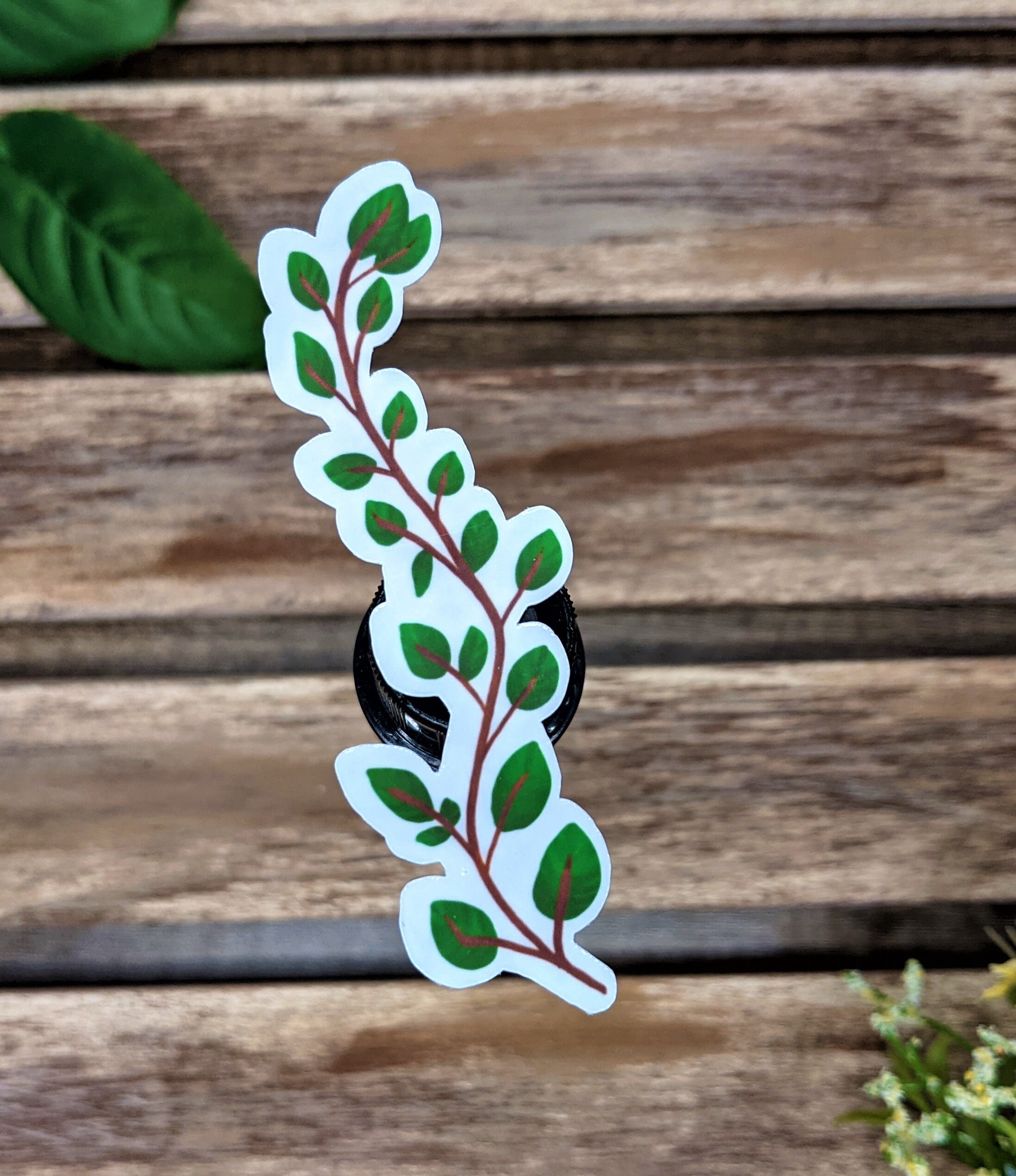 Leafy Green Vine Plant Sticker Die Cut Sticker Décor for Etsy