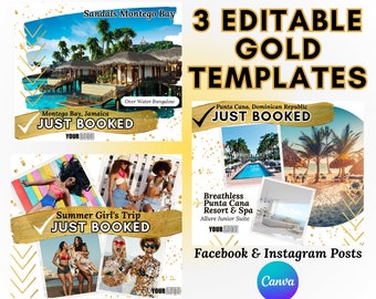3Pack Travel Flyer | Travel Instagram Post| Travel Template | Travel Agent Template | Travel Facebook Post | Travel Agent | Just Booked