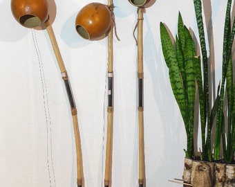 新品 ビリンバウ/中サイズ / Berimbau violaカシシ,バケッタ付き 新品 ビリンバウ/中サイズ / Berimbau violaカシシ,バケッタ付き