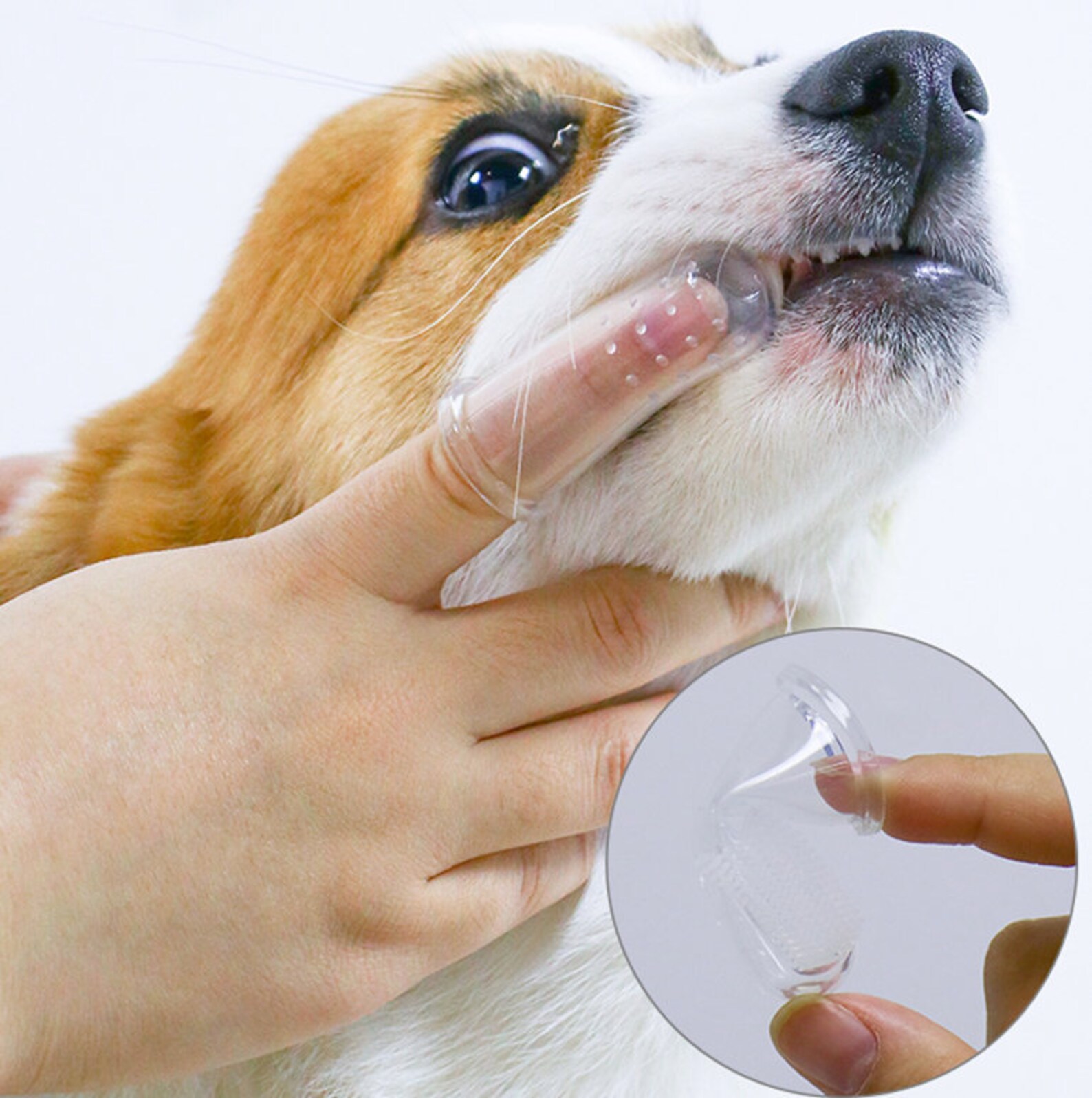 Hund Zahn Pinsel Zähne Reinigung Werkzeug Pflege für Haustiere Etsy