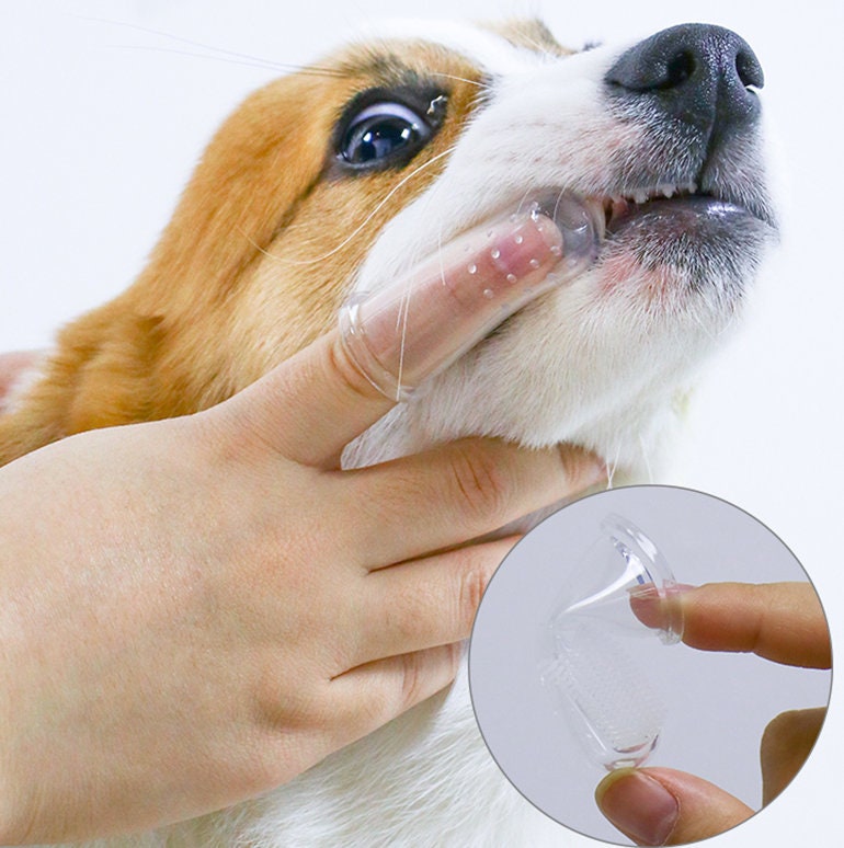 Hund Zahn Pinsel Zähne Reinigung Werkzeug Pflege für Haustiere Etsy
