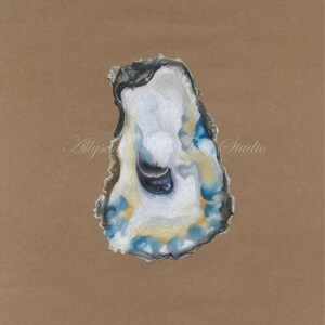 Oyster Studies One through Five