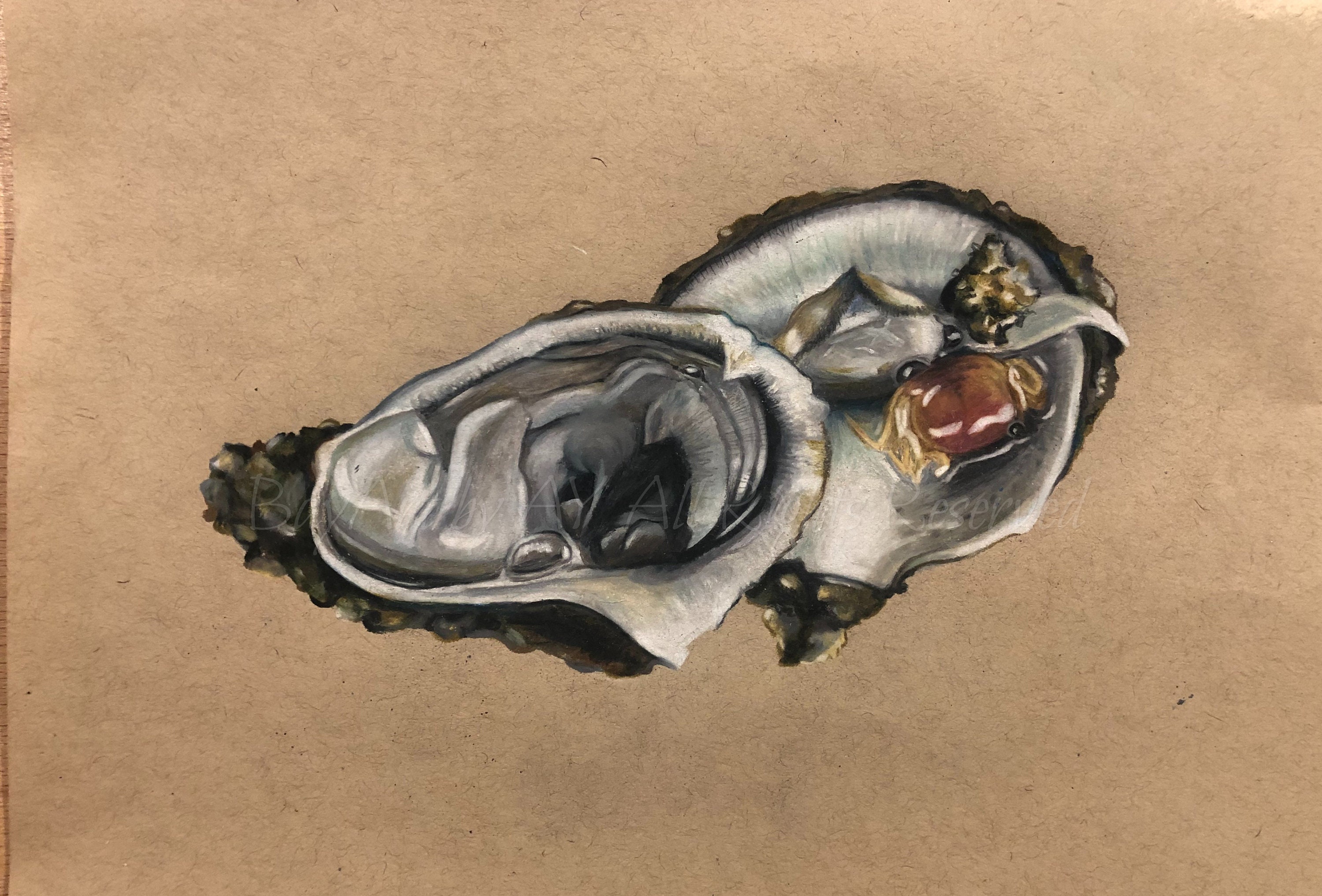 Oyster With Pea Crab Print - Etsy