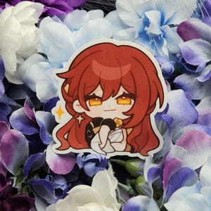 Himeko Vinyl Sticker