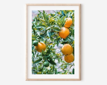 Orange Tree Poster for Kitchen or Living Room, Soller Spain Wall Art, Citrus Fruit Photography, Orange fruit tree poster, Spain Mallorca art