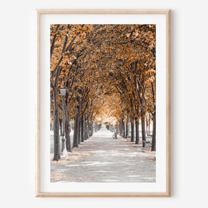 Herbst Paris Kunstdruck, Herbst in Paris Plakat, Pariser Park erde getönt fallende Blätter, französischer Kunstdruck, Pariser Wohnung Dekor