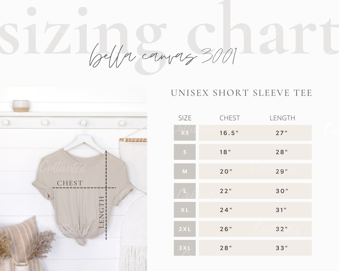 Bella Canvas 3001 Sizing Chart Guide Styled T-shirt Mockup - Etsy