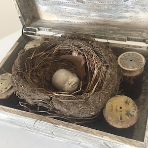 Nest Box I