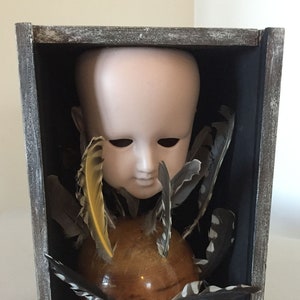 May include: A wooden box with a glass front contains a porcelain doll head, a wooden sphere, and a collection of feathers. The feathers are a mix of black, white, and yellow.