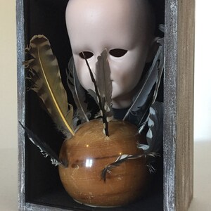 May include: A wooden box with a glass front contains a porcelain doll head, a wooden sphere, and a collection of feathers. The doll head has closed eyes and a neutral expression. The feathers are arranged around the sphere, creating a whimsical and slightly eerie display.
