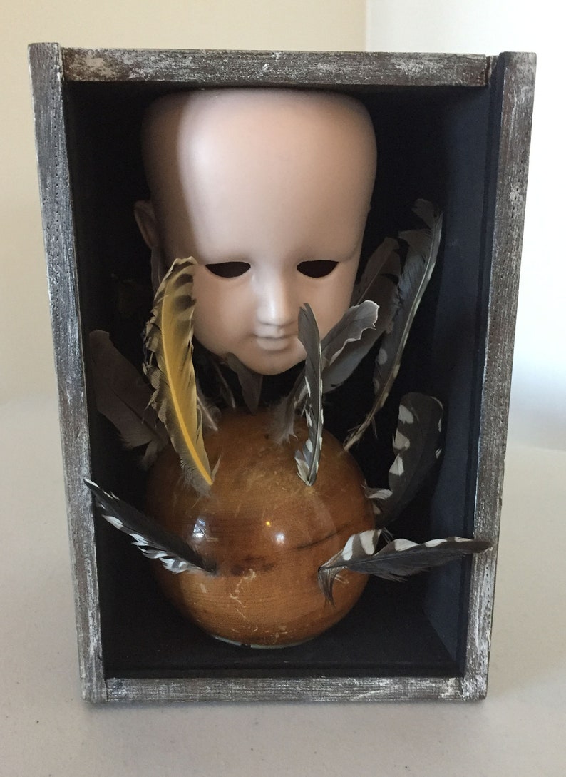 May include: A wooden box with a glass front contains a porcelain doll head, a wooden sphere, and a collection of feathers. The feathers are a mix of black, white, and yellow.