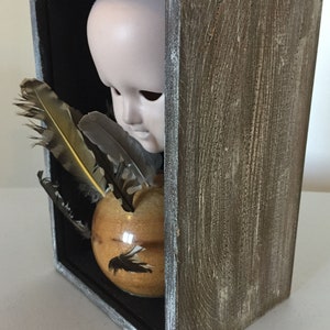 May include: A wooden box with a glass front, containing a porcelain doll head, feathers, and a wooden sphere with a black bird design.