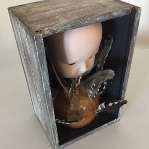 May include: A porcelain doll head with closed eyes is placed inside a wooden box with a black background. The doll head is surrounded by feathers, some of which are white and black.