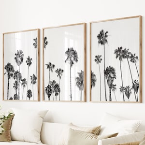 California Palms Art Black White Palm Set Beach Decor Palms set of 3 Print Palm Photography Boho Summer Photo Large Modern Palm Tree Print
